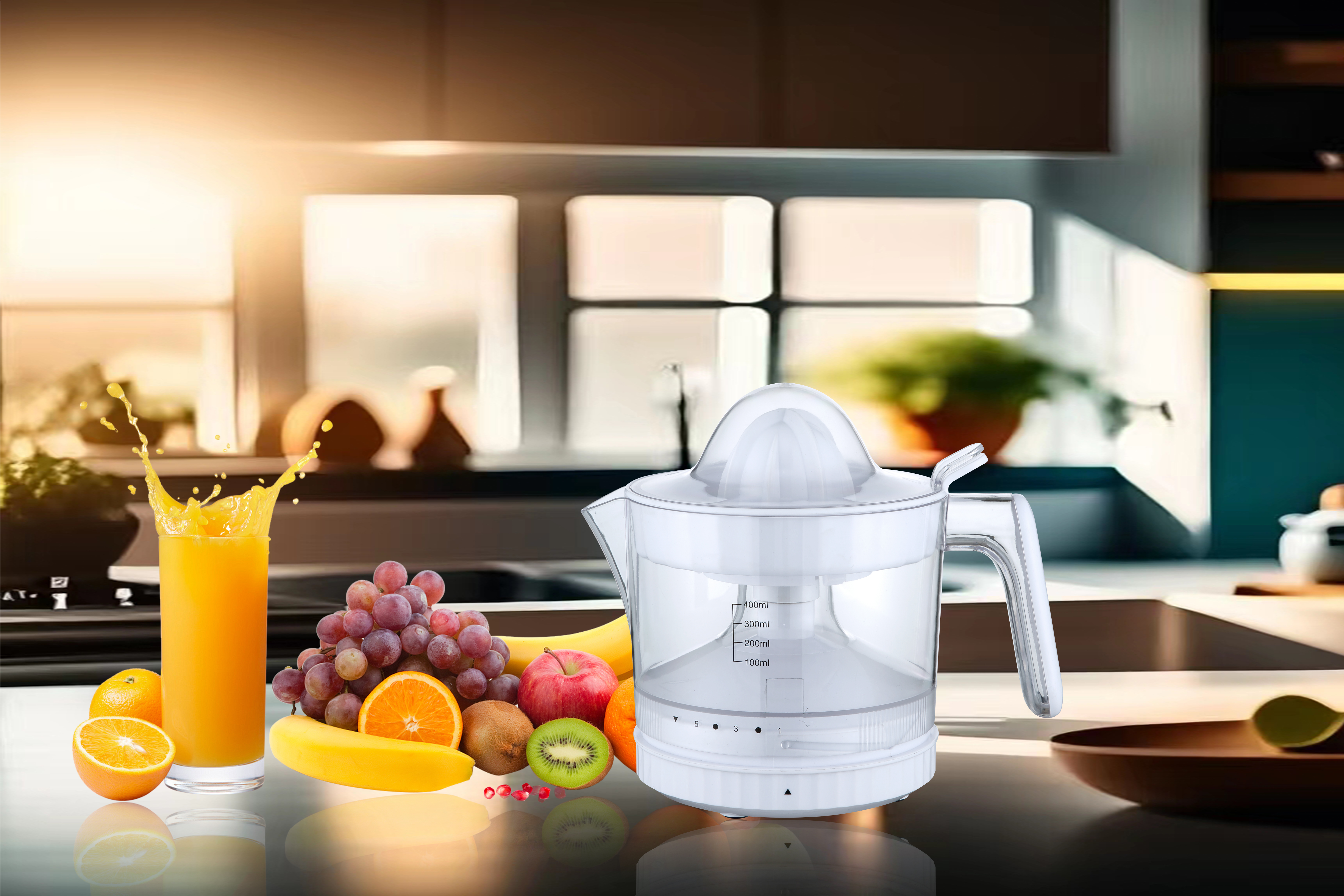 Citrus Juicier(400ml)